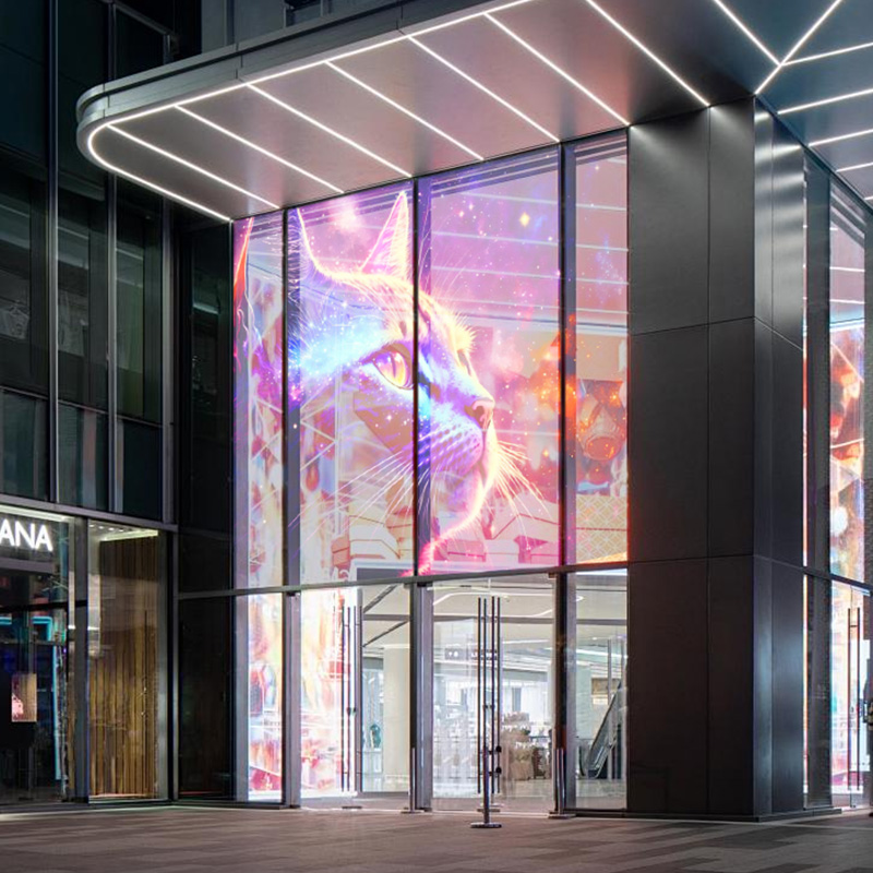 3D holographic screen (3)